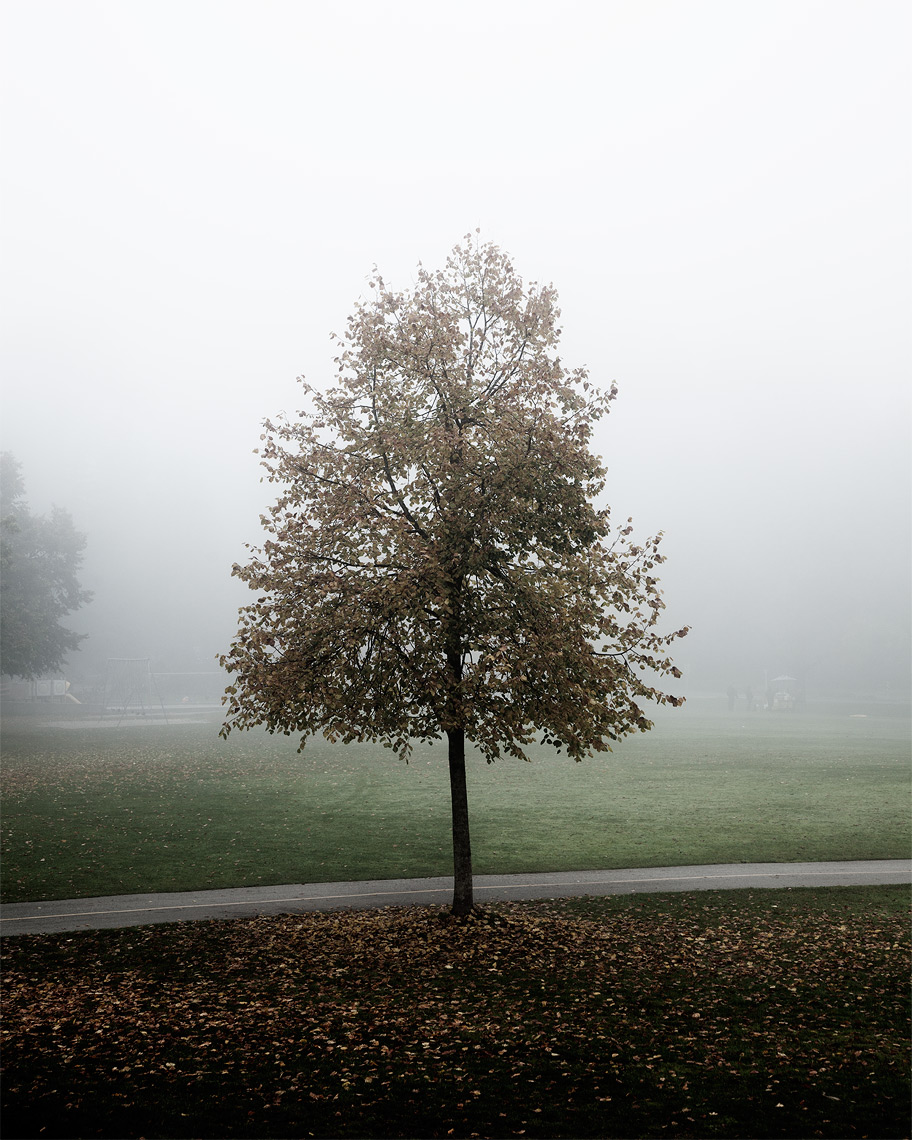 Trees // And when we were children, staying at the arch-duke’s,