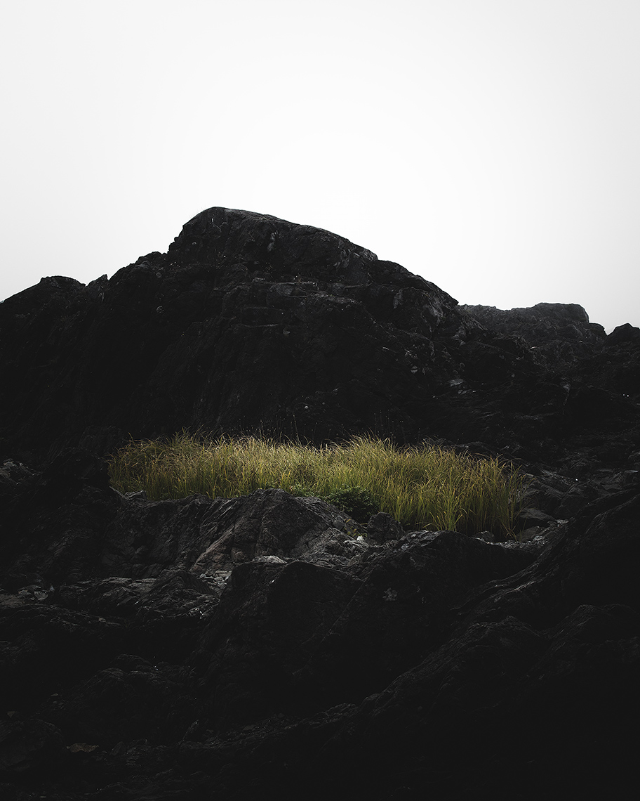 I - Black Rocks, Ucluelet // April is the cruellest month, breeding
