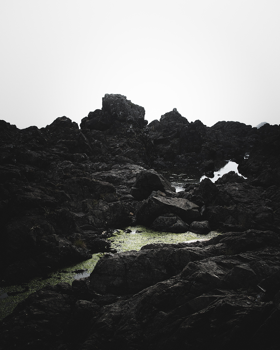 II - Black Rocks, Ucluelet // Out of this stony rubbish? Son of man,