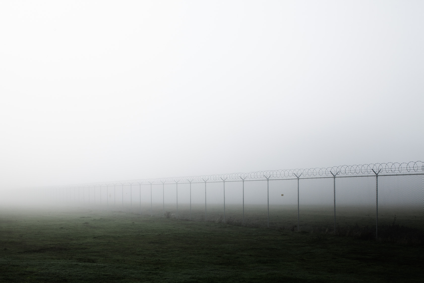 From the series Fence // Madame Sosostris, famous clairvoyante,